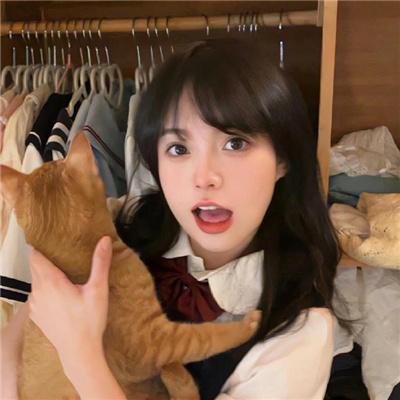 金车换玉人